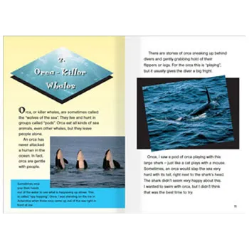 Whale Tales Level 29-30 - Modern Teaching Aids NZ