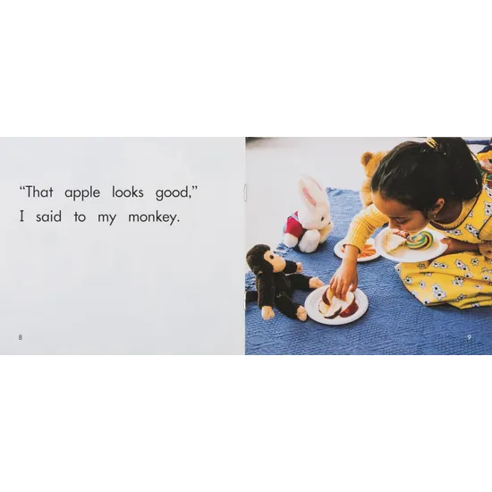 The Toys' Picnic Level 3-5 - Modern Teaching Aids NZ