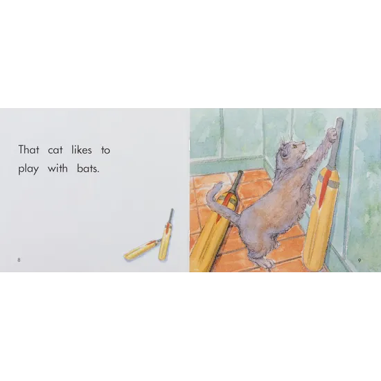 That Cat Book Level 3-5 - Modern Teaching Aids NZ