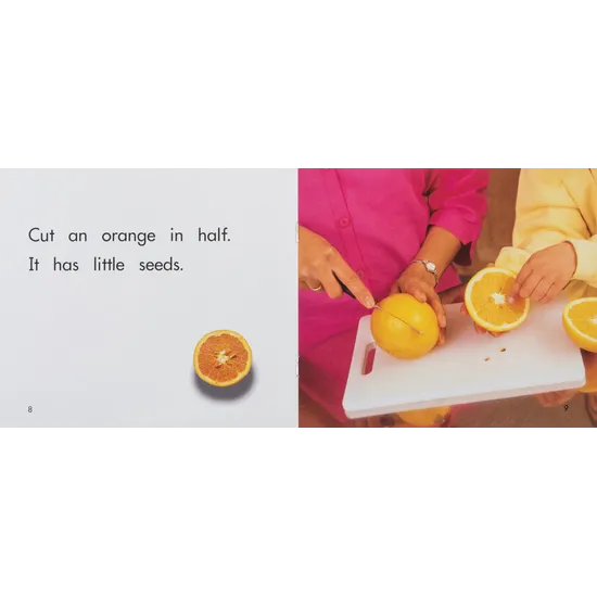 Little Seeds Level 3-5 - Modern Teaching Aids NZ