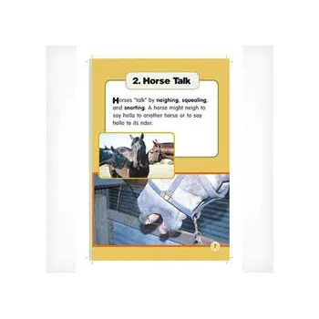 Horse Power Level 21-22 - Modern Teaching Aids NZ