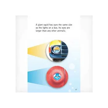 Cephalopods Level 21-22 - Modern Teaching Aids NZ