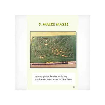 The Maze Craze Level 19-20 - Modern Teaching Aids NZ