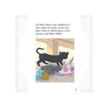 Where Is White Rabbit? Level 19-20 - Modern Teaching Aids NZ