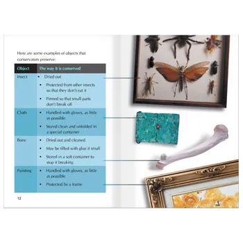 Time Capsule & Keeping the Past Alive Lvl 23-24 - Modern Teaching Aids NZ