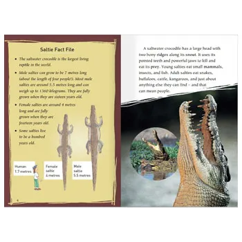 Chief Great Raven & Living with Salties Lvl 25-26 - Modern Teaching Aids NZ