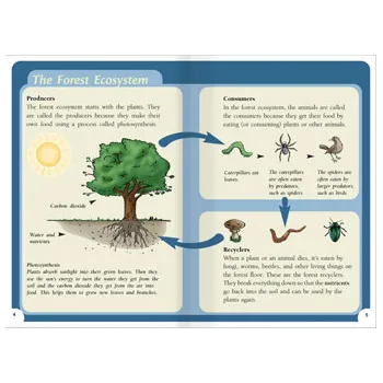 A Tree Falls Down & Helpful or Harmful? Lvl 25-26 - Modern Teaching Aids NZ