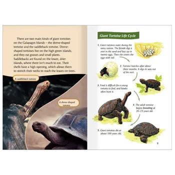 Wood Stork Swamp Galapagos Giants Level 25-26 - Modern Teaching Aids NZ