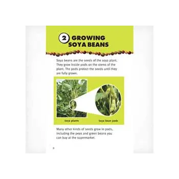 The Amazing Soya Bean Level 23-24 - Modern Teaching Aids NZ