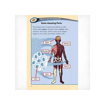 Your Body in Balance Level 23-24 - Modern Teaching Aids NZ