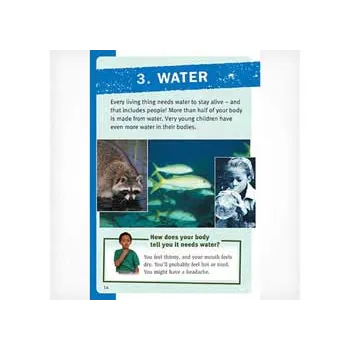 Your Body in Balance Level 23-24 - Modern Teaching Aids NZ