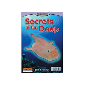 I Spy & Secrets of the Deep Level 27-28 - Modern Teaching Aids NZ