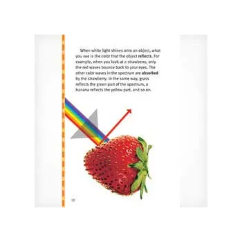 Looking at Light Levels- 29-30 - Modern Teaching Aids NZ