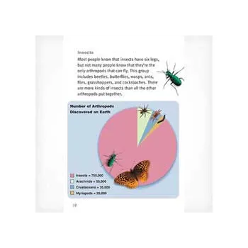 All about Arthropods Levels- 29-30 - Modern Teaching Aids NZ