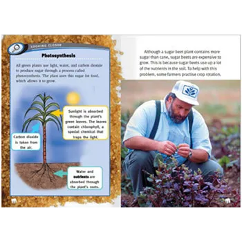 From Cane to Crystals Levels- 27-28 - Modern Teaching Aids NZ