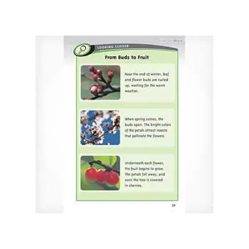 Beating the Frost Level 25-26 - Modern Teaching Aids NZ