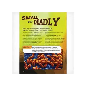 Epidemics - Modern Teaching Aids NZ