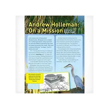 Within Reach - Modern Teaching Aids NZ