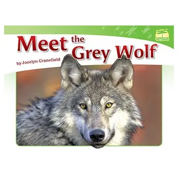 Meet the Grey Wolf Level 12-14 - Modern Teaching Aids NZ