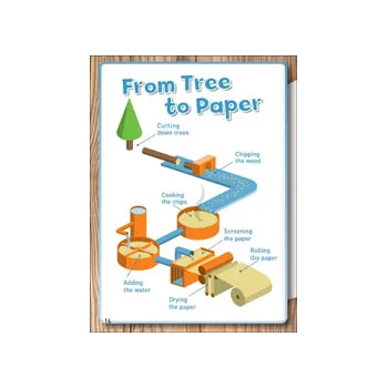 From Tree to Paper Level 17-18 - Modern Teaching Aids NZ