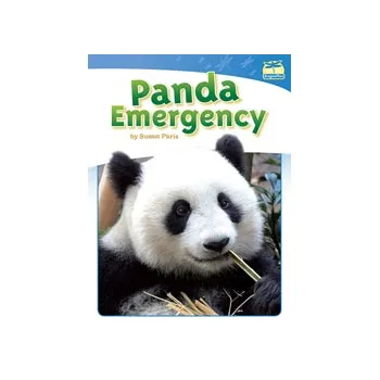 Panda Emergency Level 15-16 - Modern Teaching Aids NZ