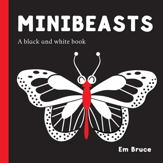 Minibeasts - Modern Teaching Aids NZ