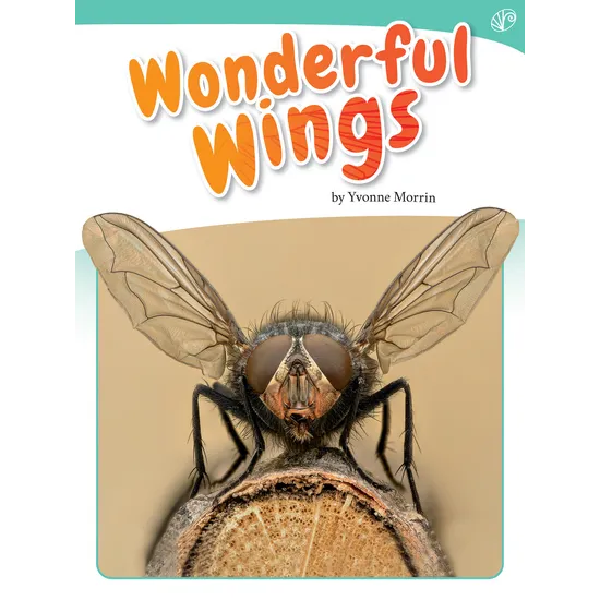 Wonderful Wings - Modern Teaching Aids NZ