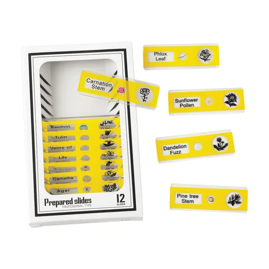 Prepared Slides - Plants PK12 - Modern Teaching Aids NZ