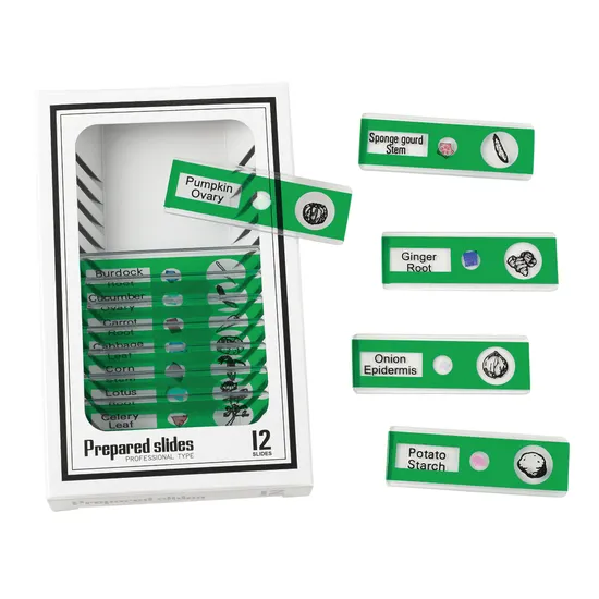 Prepared Slides - Vegetables PK12 - Modern Teaching Aids NZ