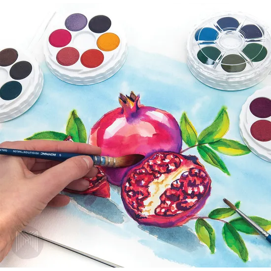 Brilliant Watercolour Discs - 24 Colours - Modern Teaching Aids NZ