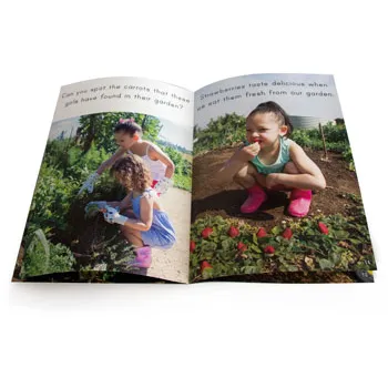 Let's Learn about Vegetable Gardens Big Book - Modern Teaching Aids NZ