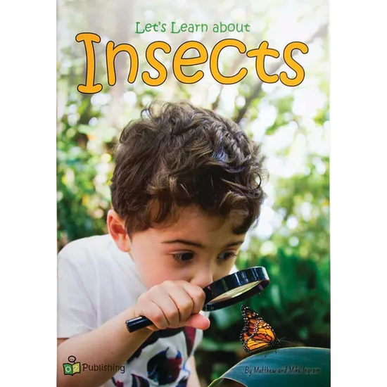 Let's Learn About Insects Big Book - Modern Teaching Aids NZ