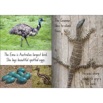 Creatures of the World Big Book - Pack of 3 Titles