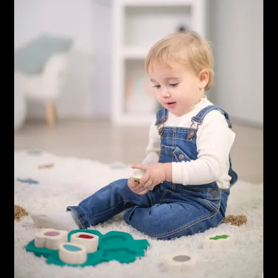 Sorting Puzzle with Sensory Shapes - Modern Teaching Aids NZ