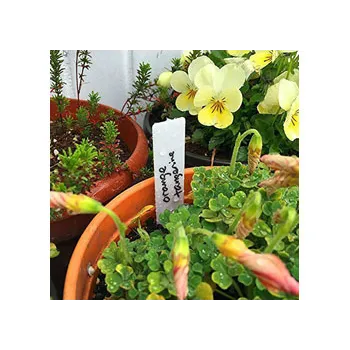 Reusable Plastic Plant Label Pack of 200 - Modern Teaching Aids NZ