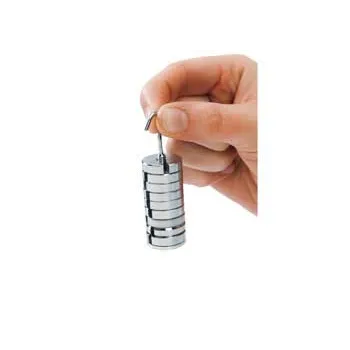 Slotted Weights - 10 x 10 grams - Modern Teaching Aids NZ