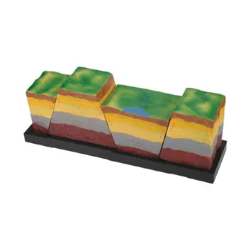 Fractures Faults & Dislocation Model - Modern Teaching Aids NZ