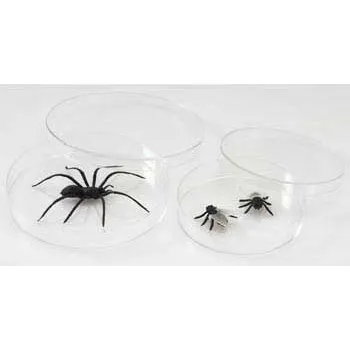 Petri Dish - 7 cm, Pack of 25 - Modern Teaching Aids NZ