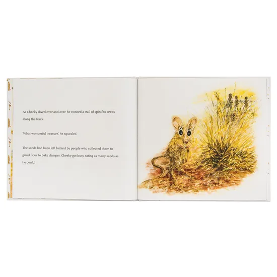 Spinifex Mouse - Modern Teaching Aids NZ