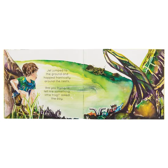 Little Corroboree Frog - Modern Teaching Aids NZ