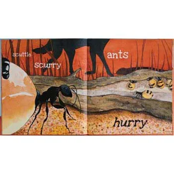 A Surprise for Dingo - Modern Teaching Aids NZ