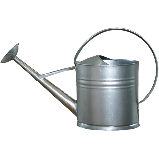 Watering Can Galvanised 5 L Capacity - Modern Teaching Aids NZ