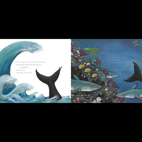The Snail & the Whale - Modern Teaching Aids NZ