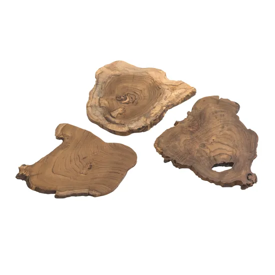 Natural Wood Slices - Set of 3 - Modern Teaching Aids NZ