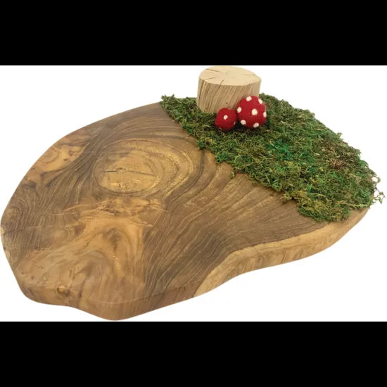 Woodland Slice with Red Toadstool - Modern Teaching Aids NZ