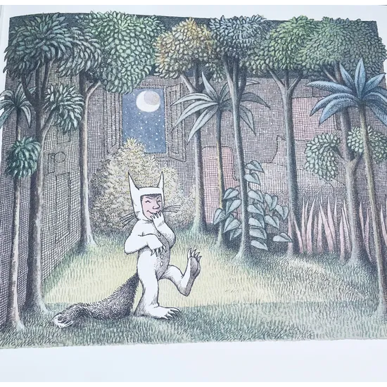 Where the Wild Things Are - Modern Teaching Aids NZ
