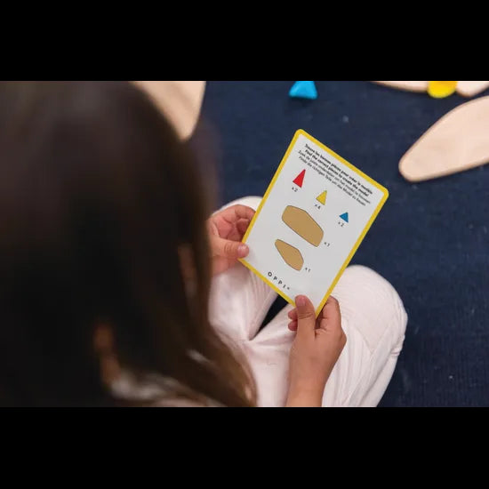 Piks - Education Kit - Modern Teaching Aids NZ