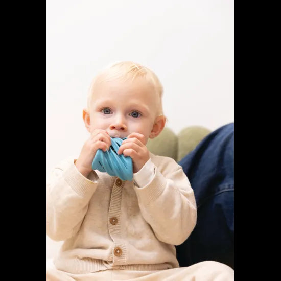 Flex Sensory Toy - Modern Teaching Aids NZ