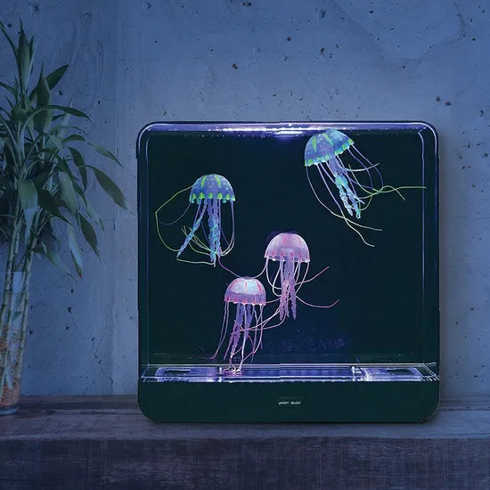 Giant Jelly Fish Tank - Square + Adaptor - Modern Teaching Aids NZ