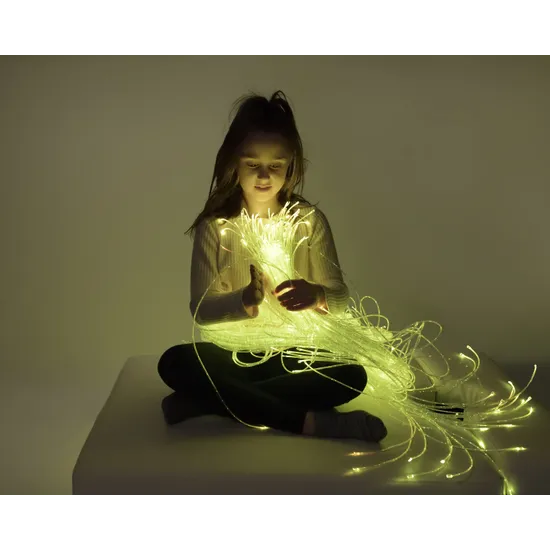 Fibre Optic Twinkle Light Source & 2m Tails - Modern Teaching Aids NZ